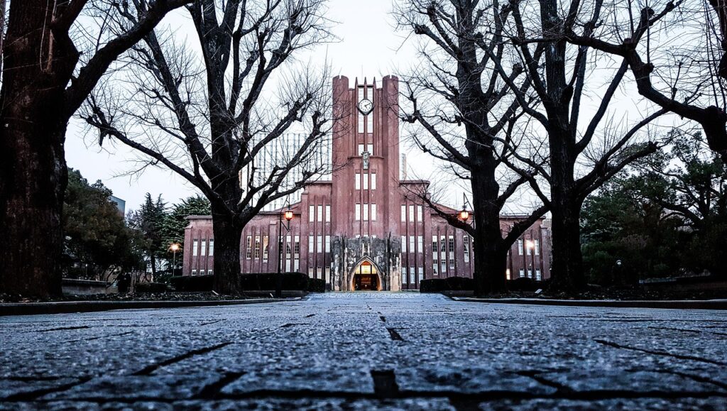 Japan university, japan, todai, tokyo, autumn, silhouette trees branches, university, university, university, university, university, tokyo